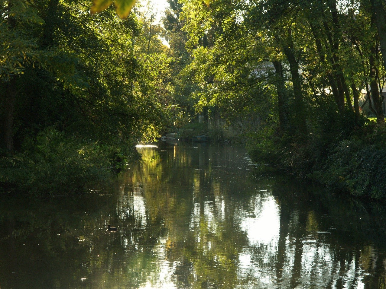 cours deau2