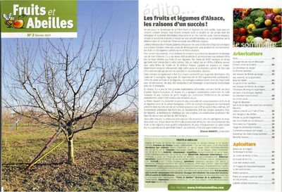 Arboriculteurs article